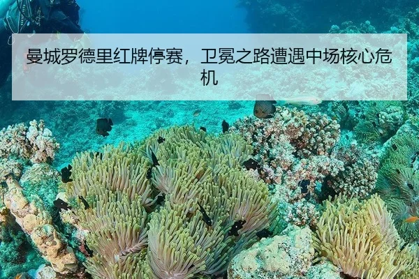 曼城罗德里红牌停赛，卫冕之路遭遇中场核心危机