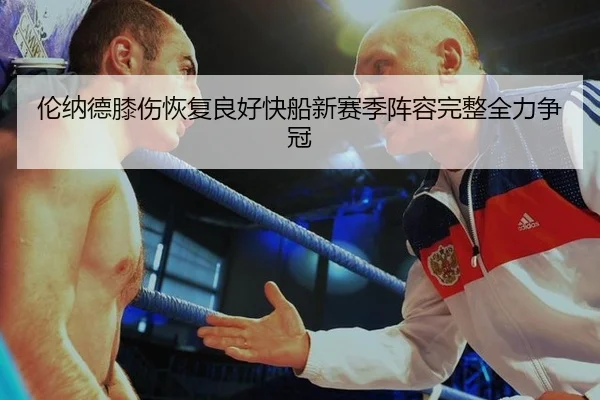 lun-na-de-xi-shang-hui-fu-liang-hao-kuai-chuan-xin-sai-ji-zhen-rong-wan-zheng-quan-li-zheng-guan-2-420.jpg
