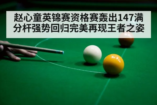 snooker ball 147